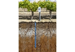 Picture of HOBOnet Multi-Depth Soil Moisture Sensor